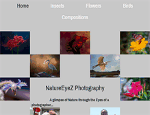 Tablet Screenshot of natureyez.com